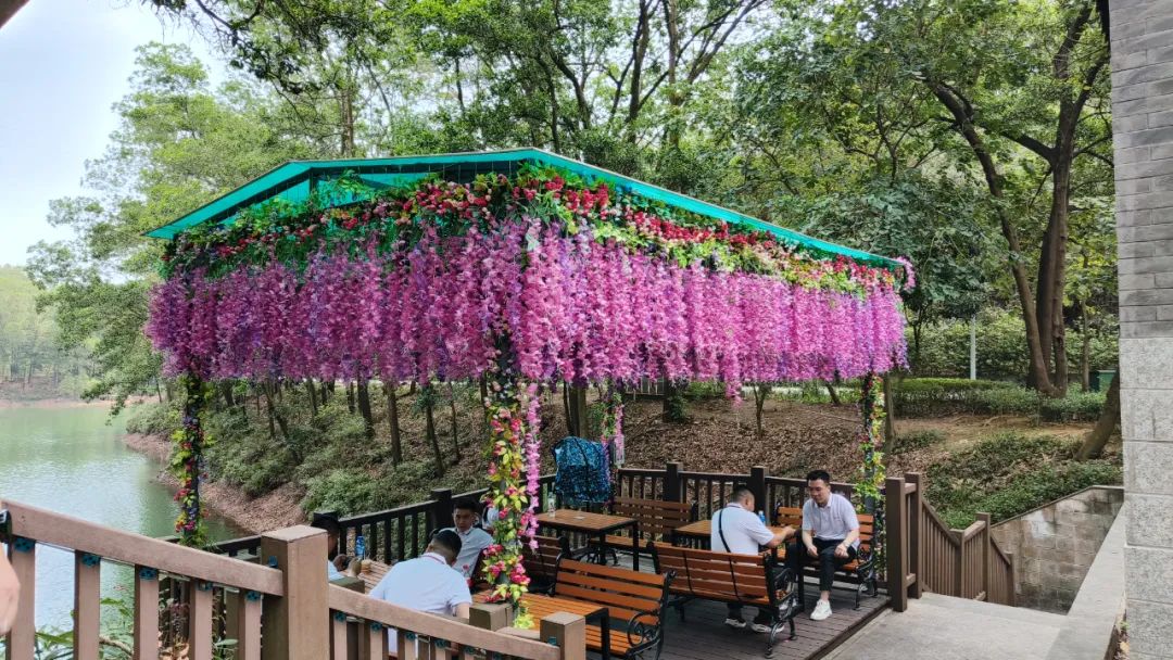 覽紅花湖美景，鑄藍(lán)柯路精神